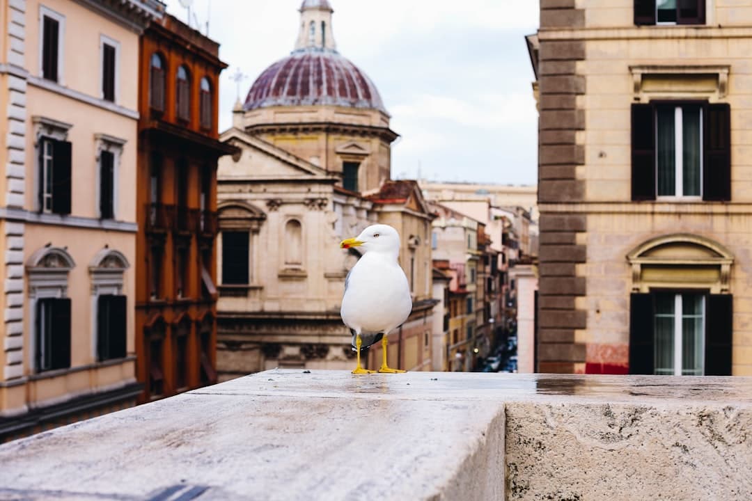 Monti neighborhood in Rome, Italy